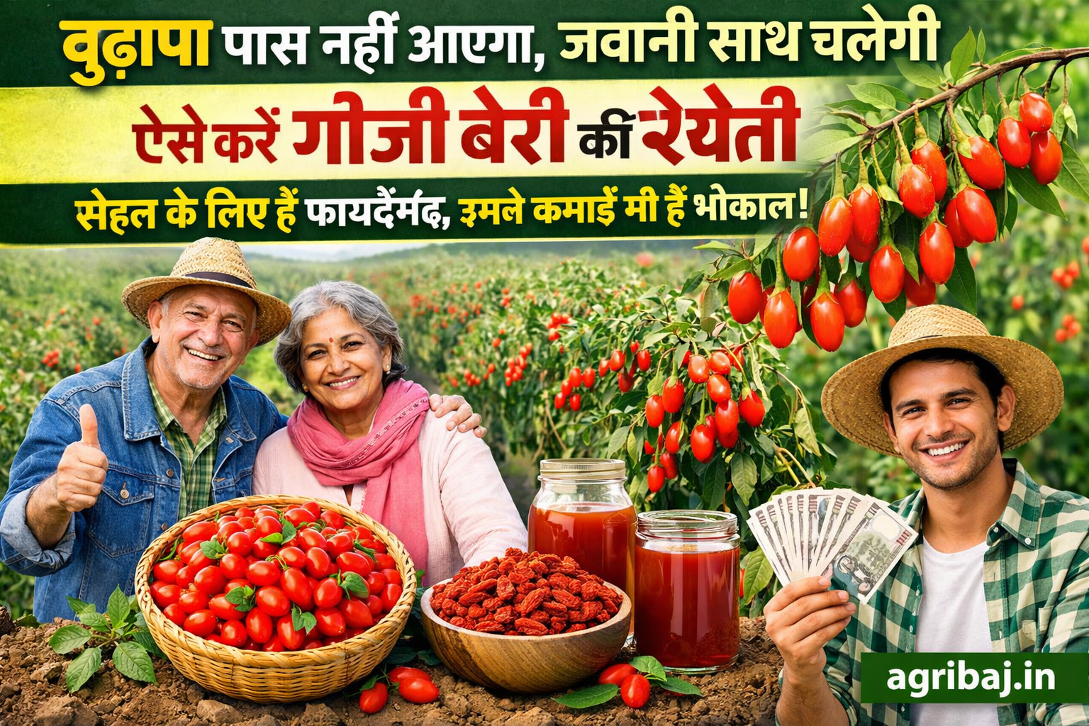 Firefly gpt image बुढ़ापा पास नहीं आएगा जवानी साथ चलेगी ऐसे करें गोजी बेरी की खेती सेहत के लिए है फाय 722888