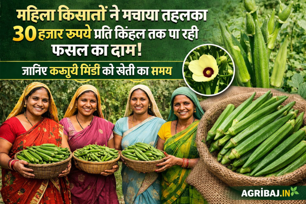 Firefly gpt image महिला किसानों ने मचाया तहलका 30 हजार रुपये प्रति क्विंटल तक पा रही फसल का दाम जानिए 849039 1
