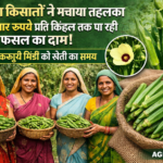 Firefly gpt image महिला किसानों ने मचाया तहलका 30 हजार रुपये प्रति क्विंटल तक पा रही फसल का दाम जानिए 849039 1