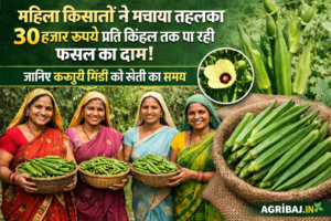 Firefly gpt image महिला किसानों ने मचाया तहलका 30 हजार रुपये प्रति क्विंटल तक पा रही फसल का दाम जानिए 849039 1