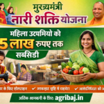 मुख्यमंत्री नारी शक्ति योजना : महिला उद्यमियों को 15 लाख रुपए तक सब्सिडी