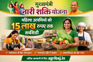मुख्यमंत्री नारी शक्ति योजना : महिला उद्यमियों को 15 लाख रुपए तक सब्सिडी