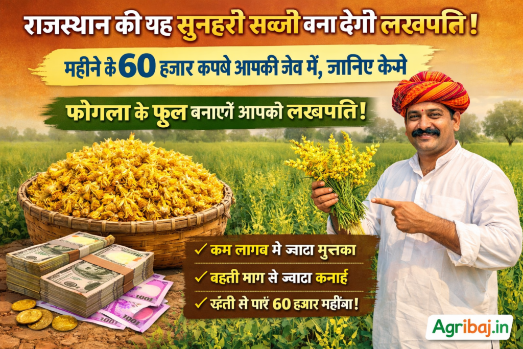 Firefly gpt image राजस्थान की यह सुनहरी सब्जी बना देगी लखपति महीने के 60 हज़ार रुपये आपकी जेब में जान 353618