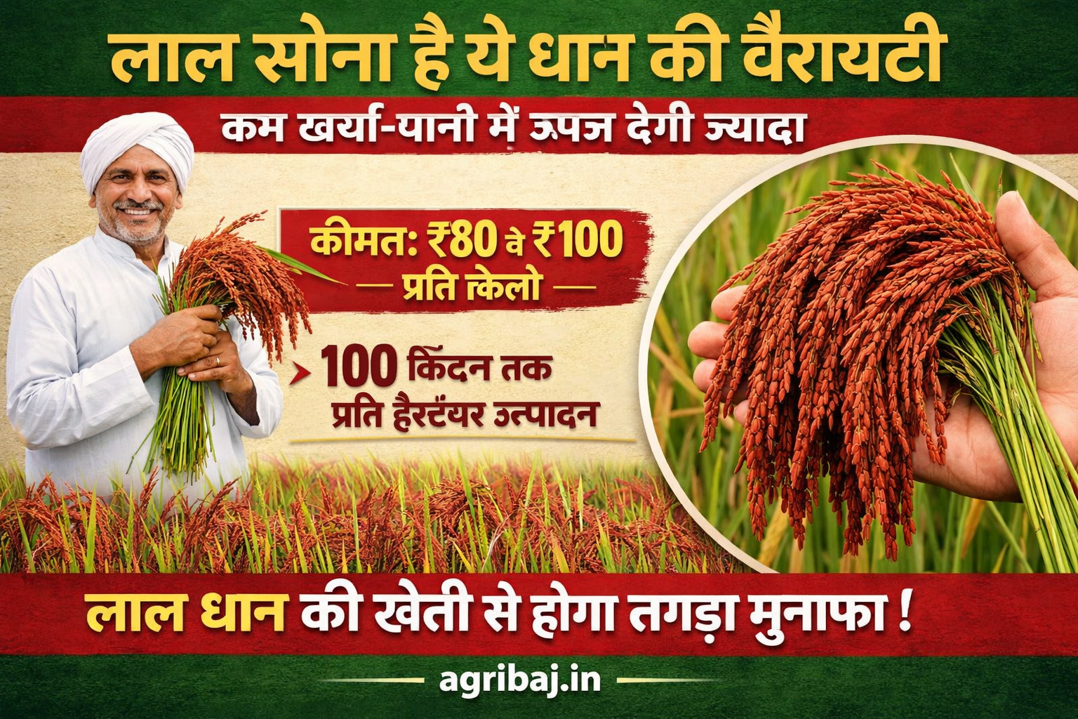 Firefly gpt image लाल सोना है ये धान की वैरायटी कम खर्चा पानी में ऊपज देगी ज्यादा जानिये इस लाल धान क 722888