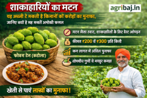 शाकाहारियों का मटन