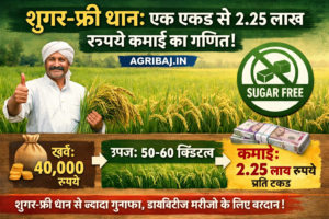 Firefly gpt image शुगर फ्री धान एक एकड़ से 2.25 लाख रुपये कमाई का गणित AGRIBAJ.IN 849039