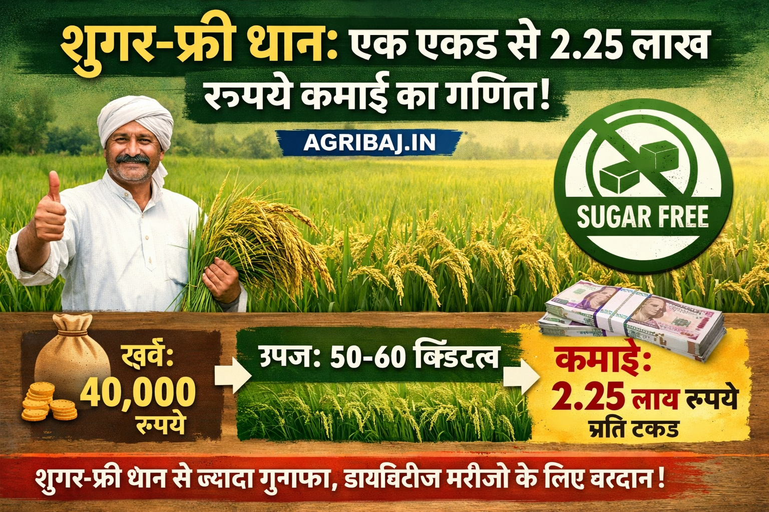 Firefly gpt image शुगर फ्री धान एक एकड़ से 2.25 लाख रुपये कमाई का गणित AGRIBAJ.IN 849039