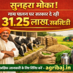 Firefly gpt image सुनहरा मौका गाय पालन पर सरकार दे रही 31.25 लाख तक की सब्सिडी agribaj.in 334614