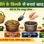 Firefly पपीते के छिलके से बड़ी आसानी से बनती है खाद पौधो को मिलता है पोषण जानिये पपीते के छि 461914