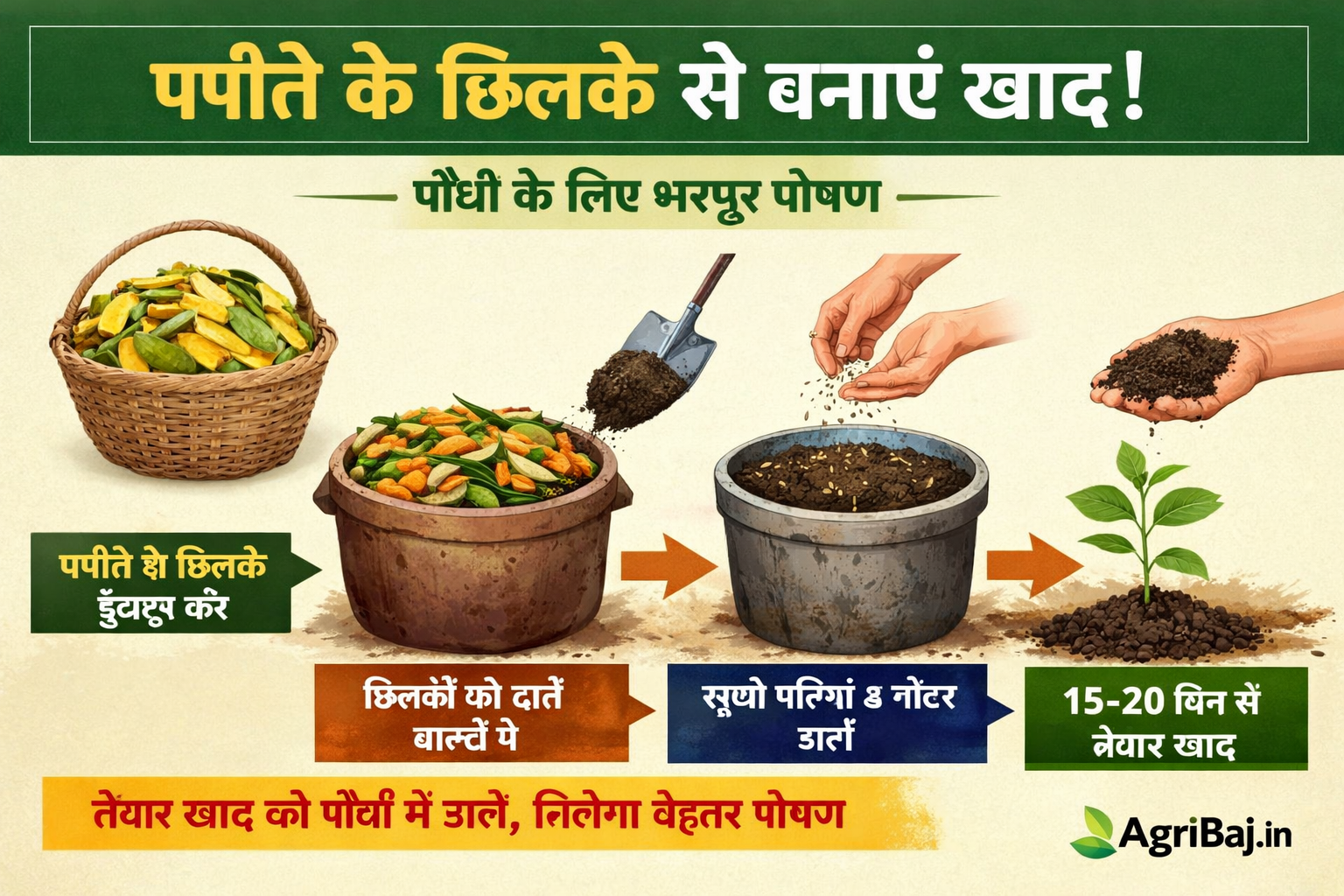 Firefly पपीते के छिलके से बड़ी आसानी से बनती है खाद पौधो को मिलता है पोषण जानिये पपीते के छि 461914