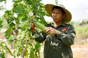 0cb12cd1300d4d92b60c94b6aec876a2