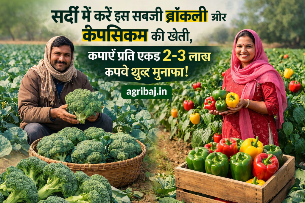 Broccoli and Capsicum