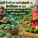 Broccoli and Capsicum