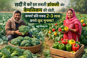 Broccoli and Capsicum