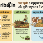 Firefly Gemini Flash चना की भूसी से बना सकते हैं यह 3 फायदे के प्रोडक्ट जानें चना भूसी का खेती और पशुपालन 66290 1