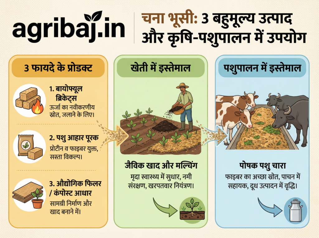 Firefly Gemini Flash चना की भूसी से बना सकते हैं यह 3 फायदे के प्रोडक्ट जानें चना भूसी का खेती और पशुपालन 66290