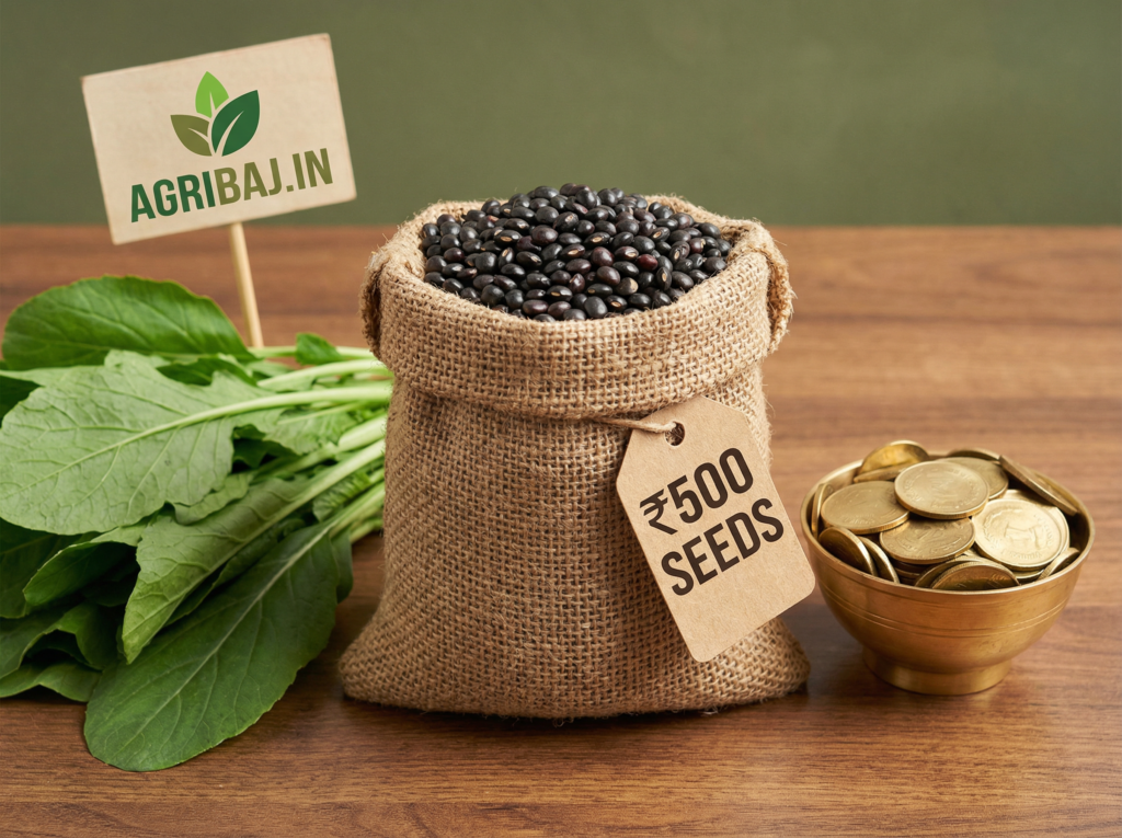 ये 500 रुपये के बीज हैं सोने की तरह कीमती, हरी सब्जी की गिनती छोड़िए 2 Firefly Gemini Flash ये 500 रुपये के बीज हैं सोने की तरह कीमती हरी सब्जी की गिनती छोड़िए फसल समाप्त होन 6235