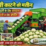 गोभी काटने की मशीन
