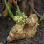 Screenshot 2026 02 25 015113