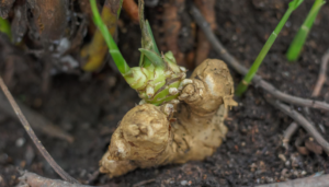 Screenshot 2026 02 25 015113