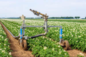 Screenshot 2026 02 25 165309