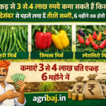 सब्जी