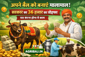किसानों के लिए खुशखबरी: गेहूं पर 150 रुपये का तगड़ा बोनस, 10 मार्च से शुरू होगी MSP खरीदी, जानिए आपके राज्य का नया भाव