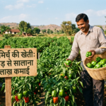 आधा एकड़ जमीन से सालाना 1.5 लाख रुपए तक की कमाई यह शिमला मिर्च की खेती देती है मोटा मुनाफा