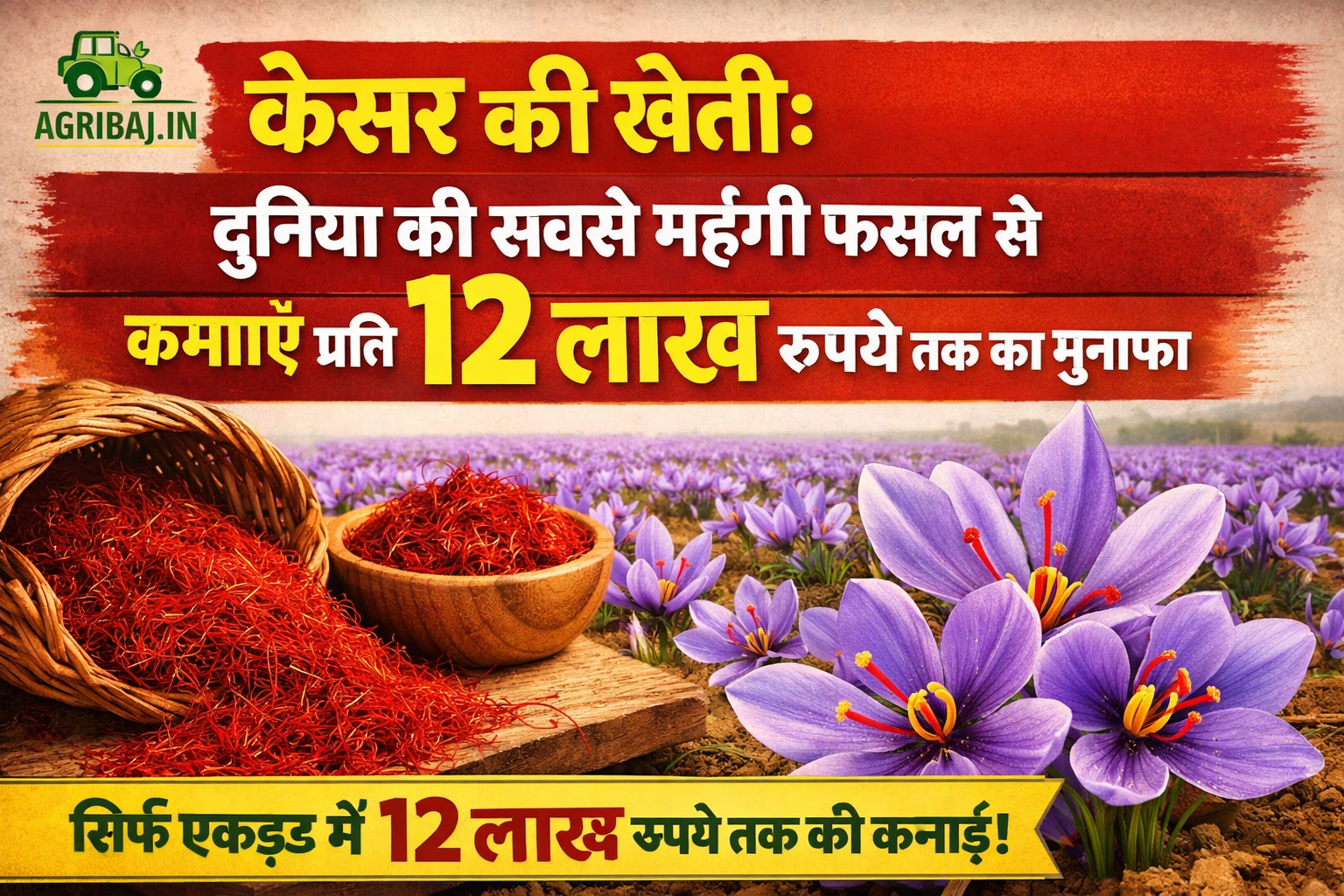 केसर की खेती