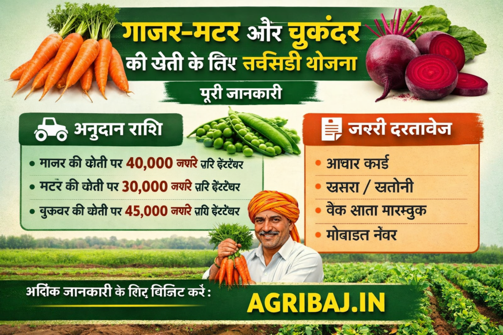 गाजर मटर और चुकंदर की खेती 1