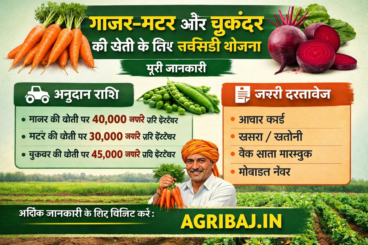 गाजर-मटर और चुकंदर की खेती