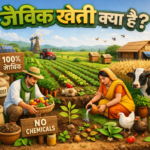 जैविक खेती क्या है