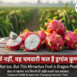 ड्रैगन फ्रूटवा
