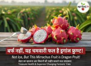 ड्रैगन फ्रूटवा