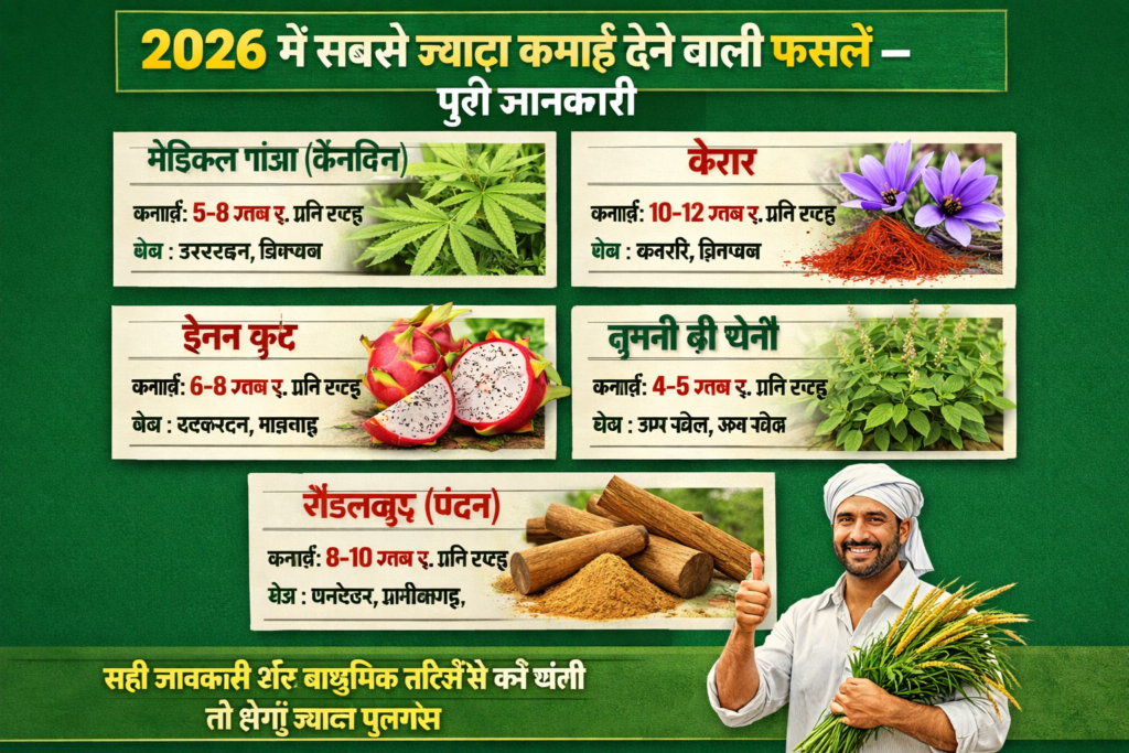 2026 में सबसे ज्यादा कमाई देने वाली फसलें 
