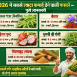 सबसे ज्यादा कमाई देने वाली फसलें