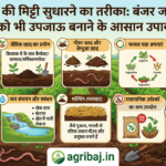 खेत की मिट्टी सुधारने का तरीका बंजर जमीन को भी उपजाऊ बनाने के आसान उपाय